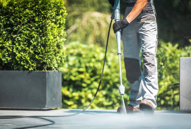 Best House Exterior Washing  in Indian Lake, TX