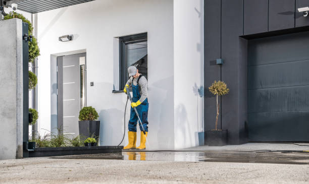 Best Solar Panel Cleaning  in Indian Lake, TX